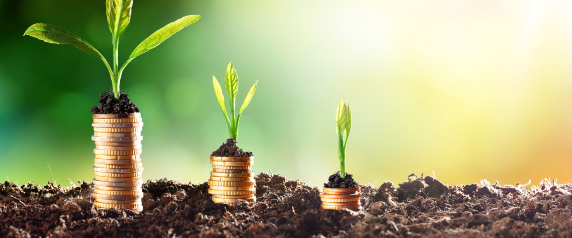 Understanding KiwiSaver: A Comprehensive Guide to Retirement Savings in New Zealand