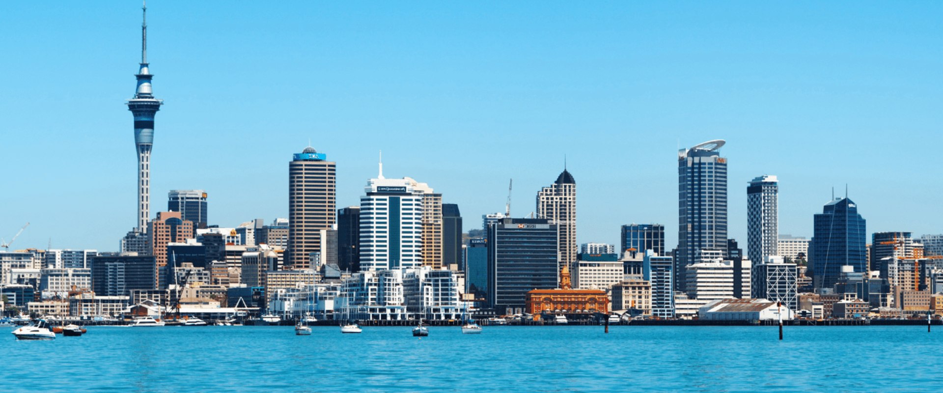 A Comprehensive Guide to Reporting Foreign Income in New Zealand