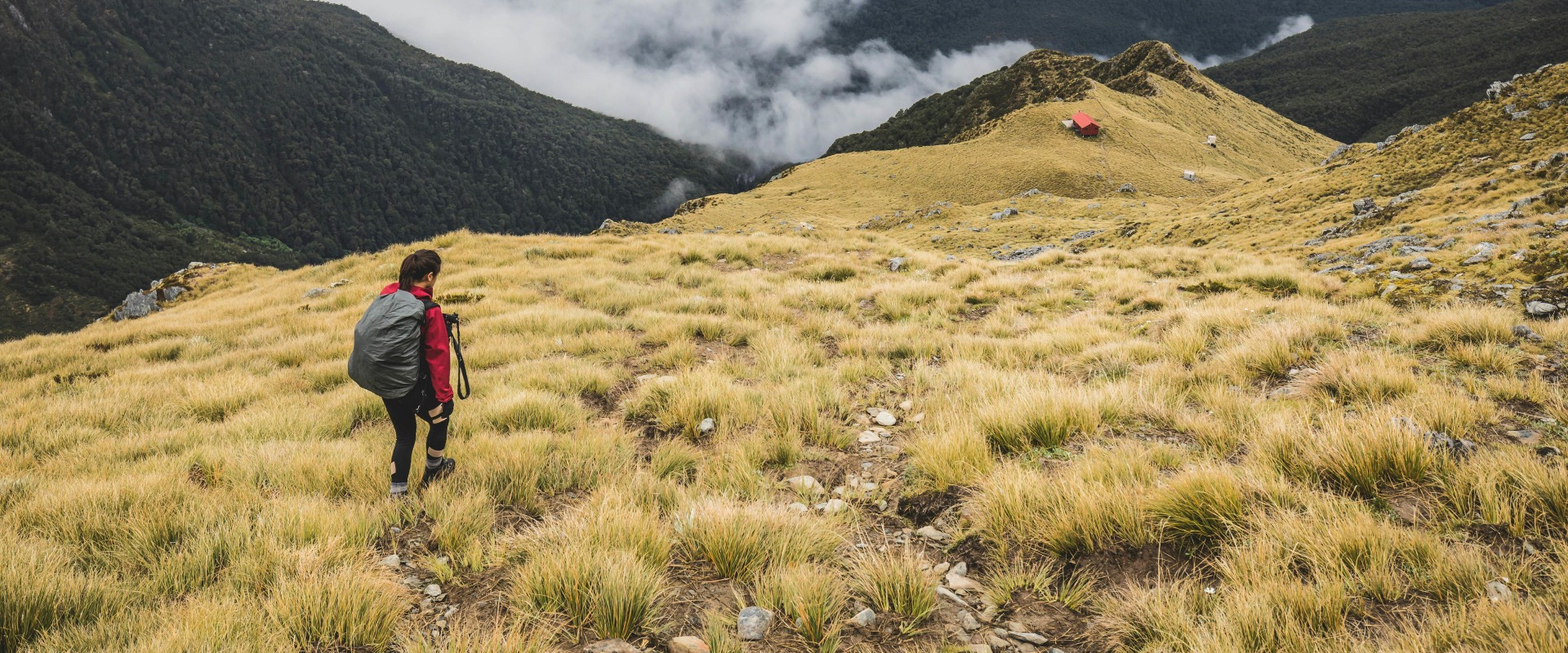 The Ultimate Guide to Maximizing Your Finances in New Zealand